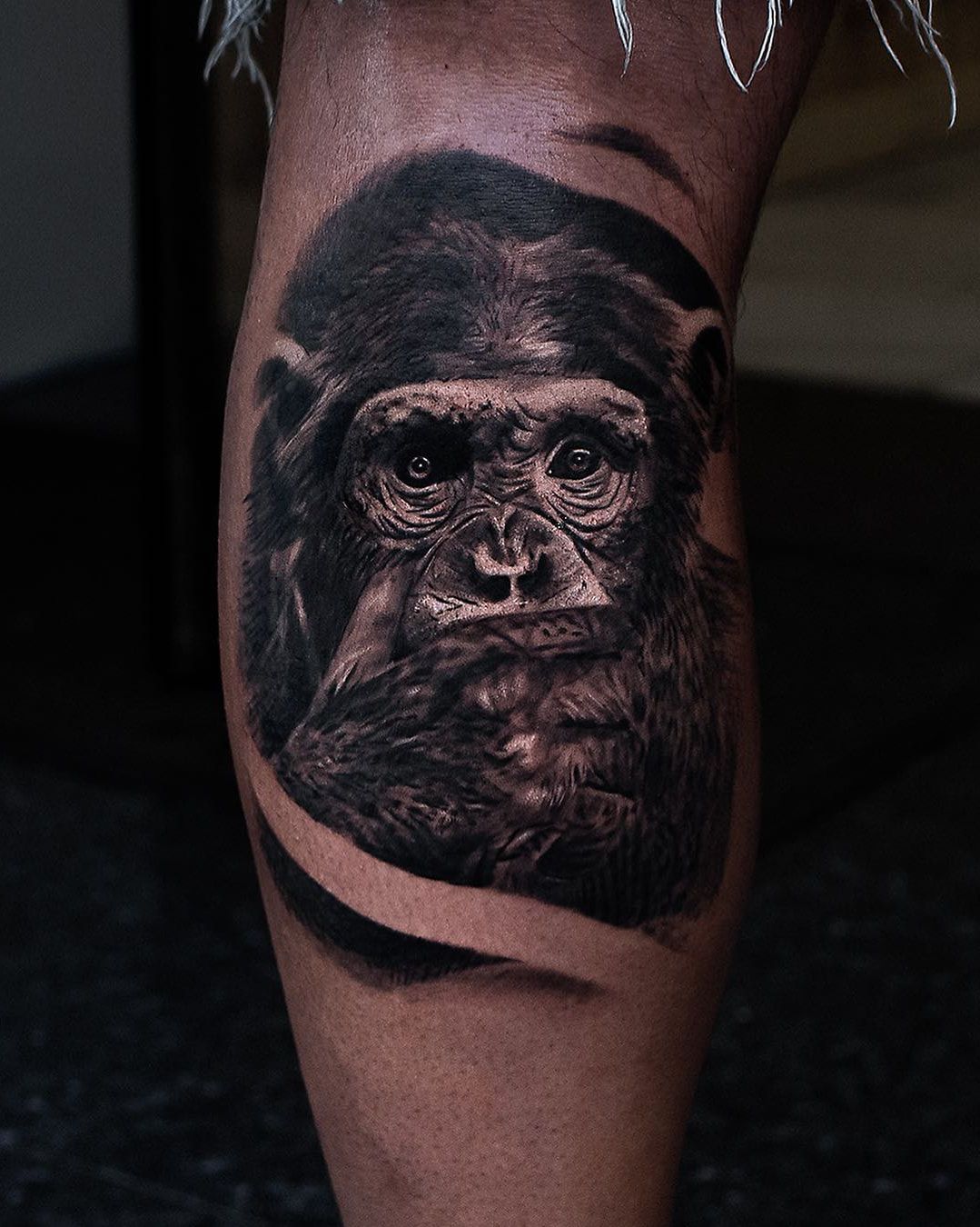 Chimpancé tapándose la boca con la mano, retrato de realismo en negro y gris con negros profundos en la pantorrilla