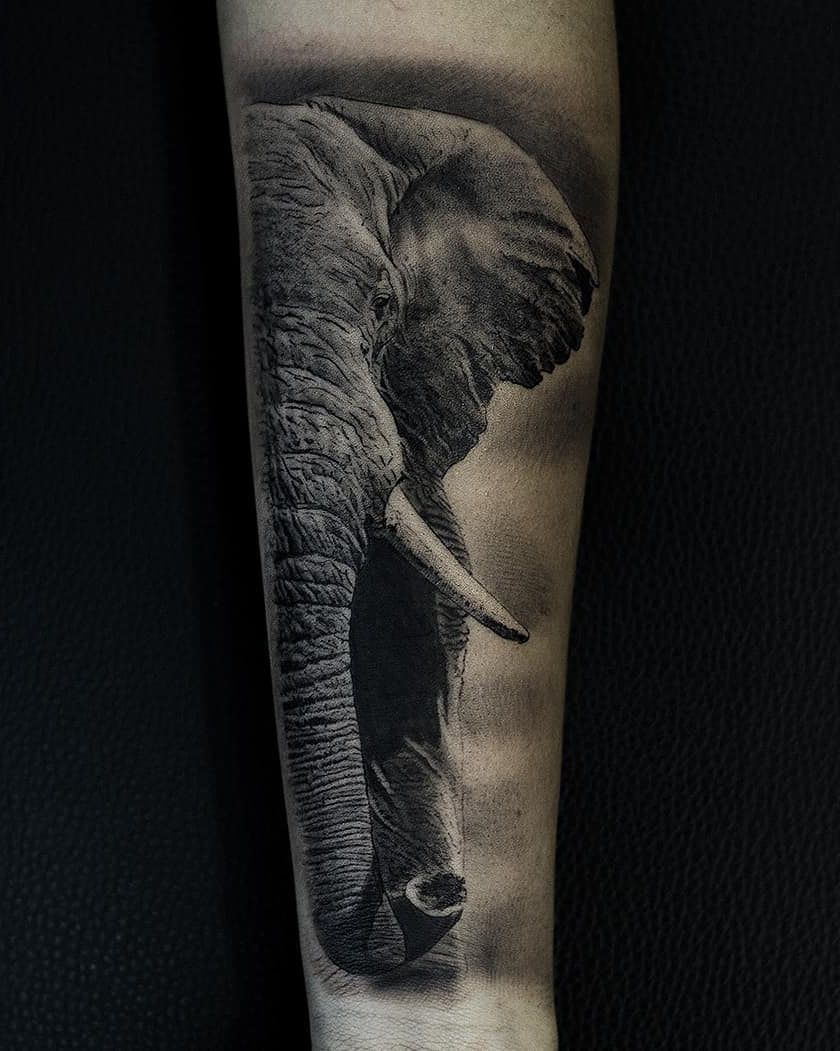 Elefante africano de tres cuartos a lo largo de todo el antebrazo, con piel arrugada, colmillo y trompa en negro y gris