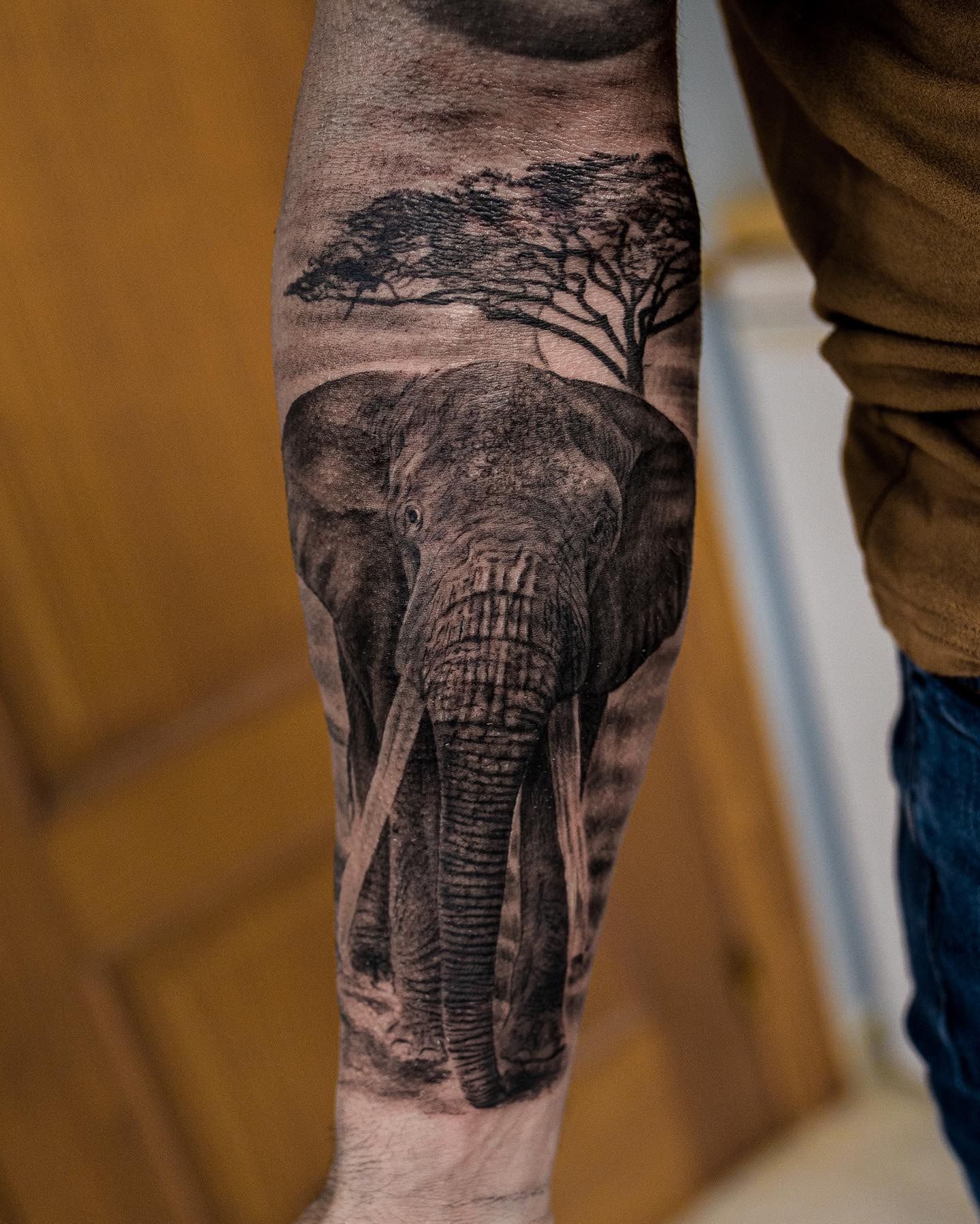 Elefante de frente bajo una acacia, con la piel muy texturizada, realismo en negro y gris recién tatuado en el antebrazo