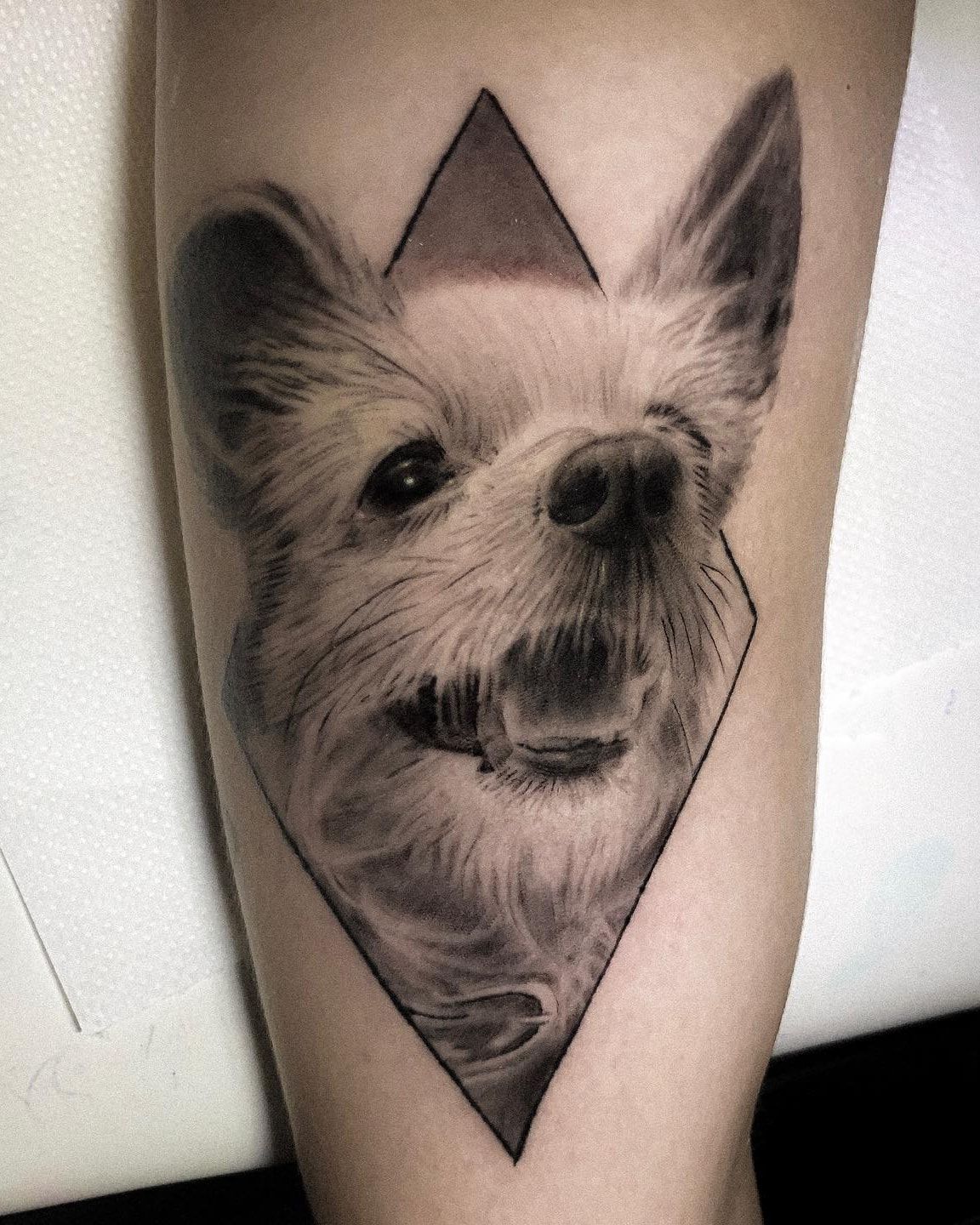 Petit chien à poils longs, gueule ouverte, dans un losange géométrique, réalisme noir et gris cicatrisé sur l’avant-bras
