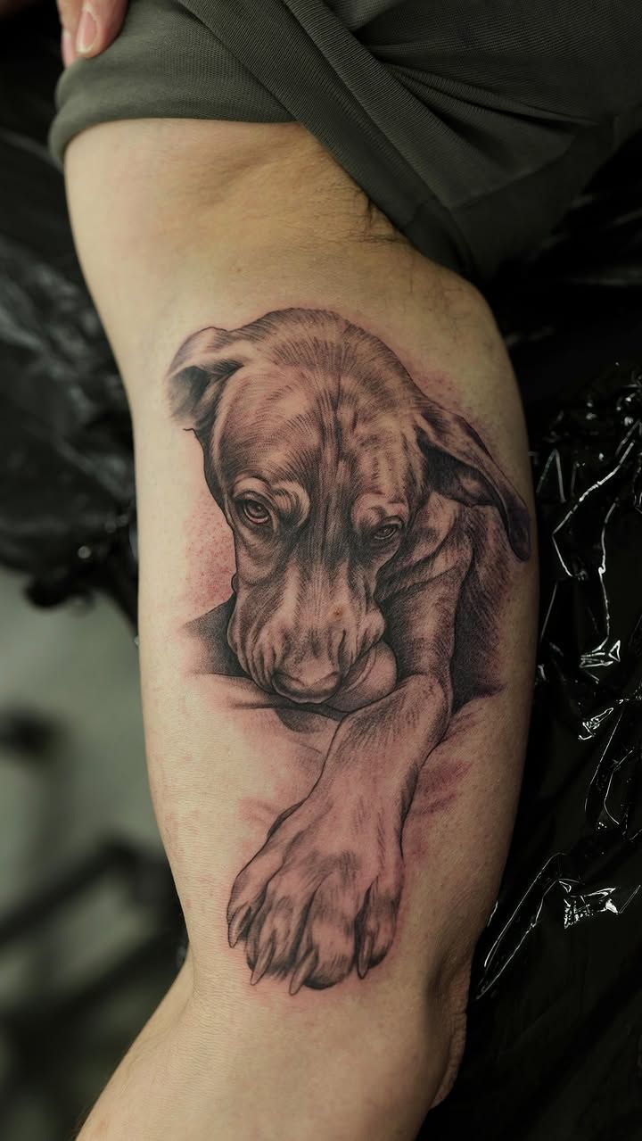 Chien couché, la tête basse posée sur une patte et l’autre patte tendue au premier plan, réalisme noir et gris sur l’intérieur du bras