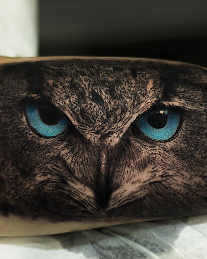 Gros plan sur un regard de hibou aux yeux bleu glacier, plumage très détaillé, réalisme noir et gris sur l’avant-bras