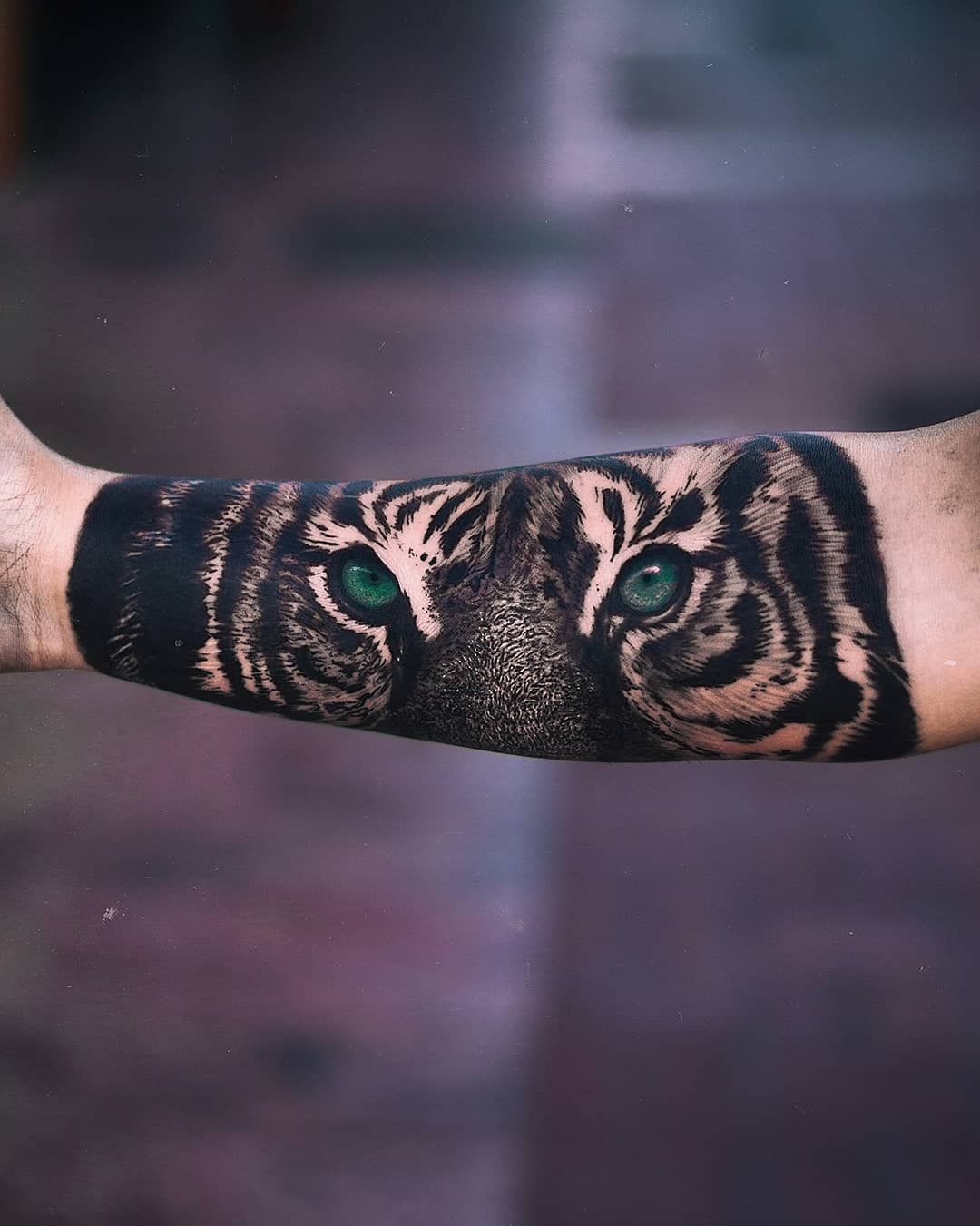 Regard de tigre aux yeux verts sur toute la largeur de l’avant-bras, rayures et noirs profonds, en réalisme noir et gris