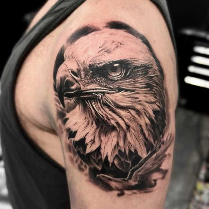 Tête d’aigle de profil au regard perçant, plumage détaillé et aile ouverte en dessous, réalisme noir et gris sur le haut du bras